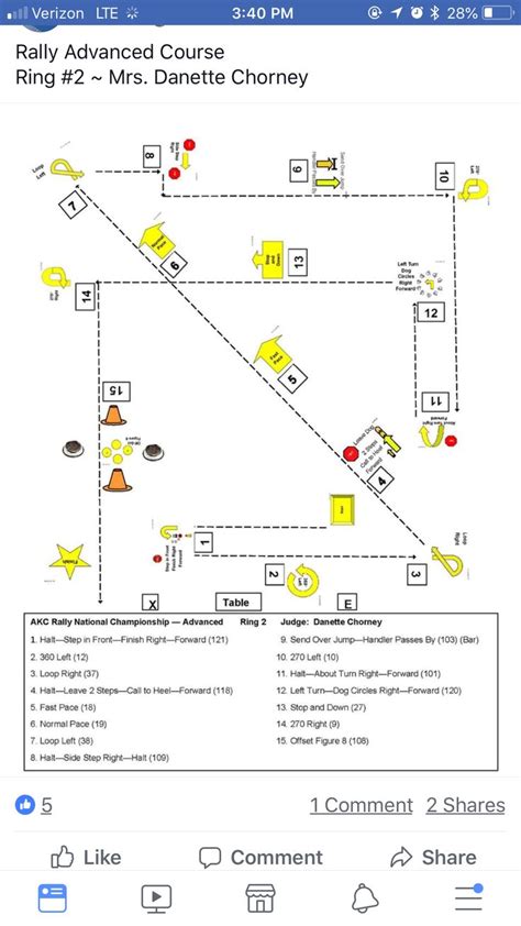 rally maps rally dog training obedience dog competitions