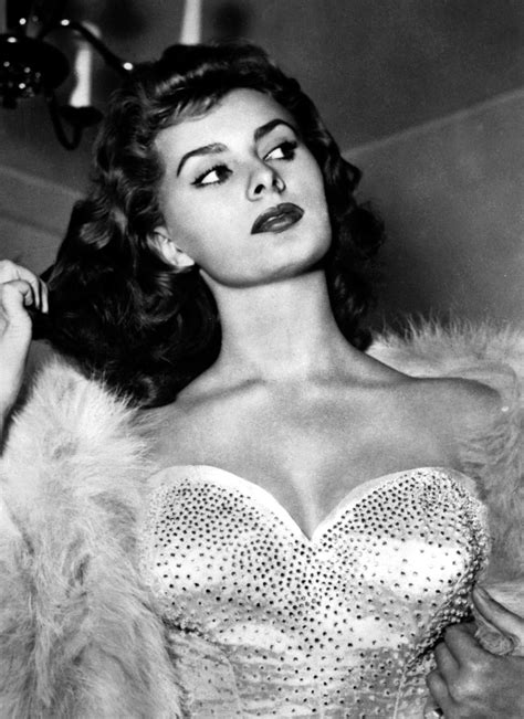 Sophia Loren Sophia Loren Photo Sophia Loren Sofia Loren