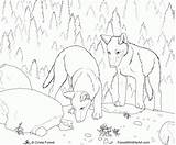Coloring Wolf Pages Pack Bad Big Wolves Clipart Popular Coloringhome Library Comments sketch template