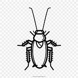Cockroach Cucaracha Colorear Mewarnai Kecoa Roach Gambar Putih Hitam Repel Repellent Buku Kolorowanki Menggambar sketch template