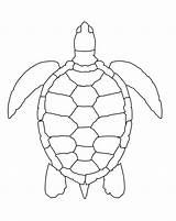 Tartaruga Marinha Colorironline Pintar sketch template