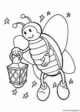 Coloring Pages Printable Kids Insects Fire Fly Firefly Print Preschool Worksheets Animal sketch template