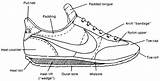 Shoe Component 신발 Trainers 선택 보드 Sensible sketch template
