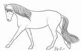 Cantering Horse Coloring Comments sketch template