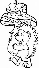 Hedgehog Coloring Pages Coloringpages1001 Kids sketch template