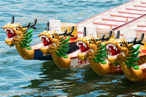 check   houston dragon boat festival   bellaire tx