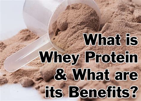 What Is Whey Protein And What Are Its Benefits Healthy Focus