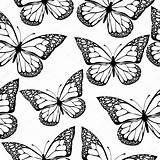 Coloring Monochrome Insect Depositphotos Fundos Acessar sketch template