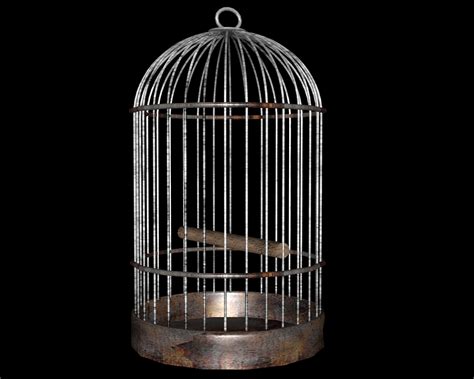 meaning  symbolism   word cage