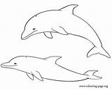 Dolphins Printable Coloring Dolphin Pages Easy Colouring Drawing Draw Drawings Cliparts Print Couple Step Playing Clipart Printables Template Animals Baby sketch template
