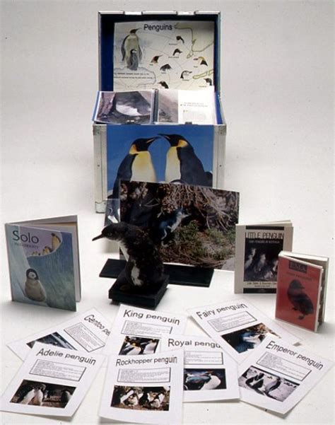 penguin museum in a box from the australian museum this belongs in a