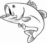 Coloring Bass Pages Fish Double Jumping Getcolorings Getdrawings Colorings sketch template
