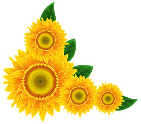 sunflower  sunflower school cliparts  wikiclipart
