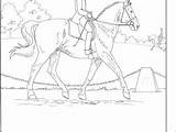 Breyer Horse Coloring Pages Getdrawings Getcolorings Printable sketch template