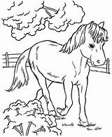 Pony Kleurplaten Paarden Tegninger Heste Cheval Kleurplaat Hest Bibi 2212 Mooiste Caballos Paard Colouring Veulens Downloaden Uitprinten Colorear Tjent Sparet sketch template