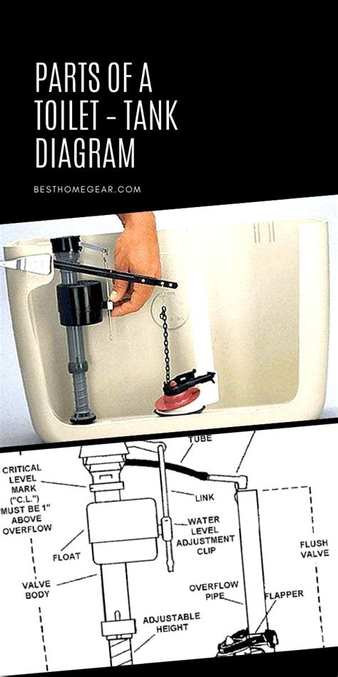 parts   toilet toilet tank diagram  home gear diy toilet repair toilet tank