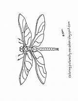 Dragonfly Coloring Printable Simple Pages Dragon Coloringpagesbymradron Choose Board Drawing sketch template