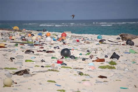 plastic ocean plastikinseln im meer digital  good resetorg