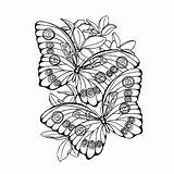 Mandalas Butterfly Coloring Pages Printable Papillon Imprimer Coloriage Drawing Pour Le Kb sketch template