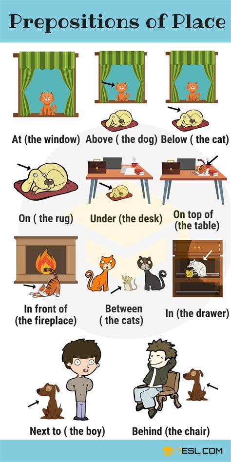 learn english prepositions  pictures  examples