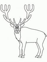 Coloring Elk sketch template