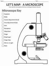 Microscope Map Let Lets Teacherspayteachers Coloring Science Worksheets Activity Activities Places Biology Preview sketch template