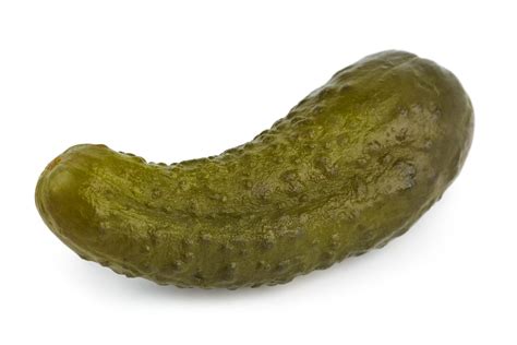 huge dill pickle whole or quartered fox s bakery and deli