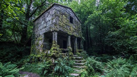 abandoned house  forest revilbuildings