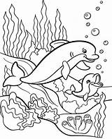 Coloring Dolphins Dolphin Pages Baby Animal Children Sea Kids Printable Print Water Animals Topcoloringpages Two Color Ocean Toddlers Adult Mommy sketch template