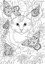 Cat Butterflies Coloring Printable Pages Butterfly Adult Favoreads Club Choose Board sketch template