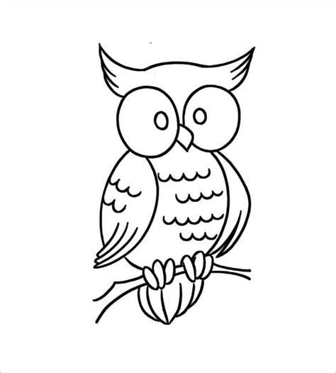 owl template animal templates