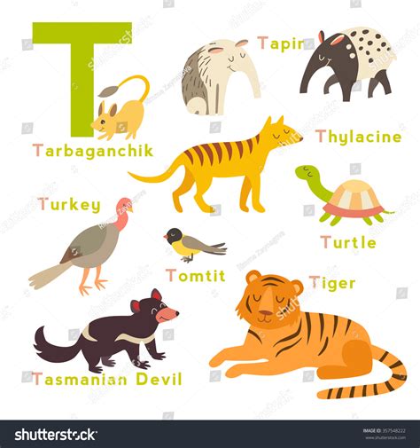 vektor stok  letter animals set english alphabet  royalti  shutterstock