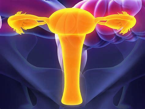 Uterus Transplant First Us Clinical Trial Begins
