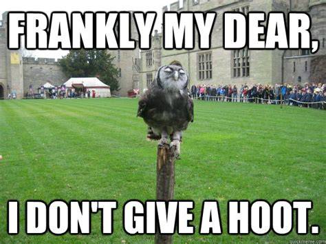 frankly my dear i don t give a hoot owlfred quickmeme
