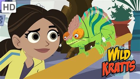 wild kratts discovering  secrets   animal kingdom youtube