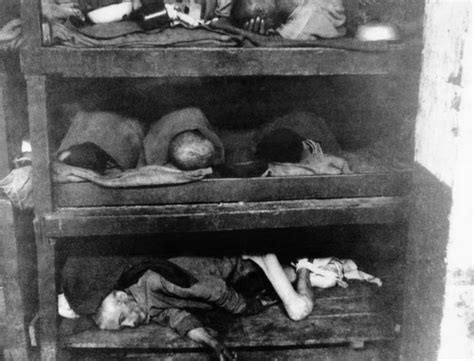 44 photos inside bergen belsen the concentration camp that killed anne