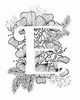 Lettre Calligraphie Lettere Encequiconcerne Lettera Alfabet Coloriage Kalligrafie Florale Mandala Inkt Buchstabe Schwarz Typografie Illuminated Bloemen Primanyc Stukken Opdracht Geweldig sketch template