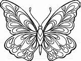 Butterfly Coloring Doodle Hand Drawn Pages Book Illustration Decorative Istockphoto Patterns Drawing Zentangle Template sketch template