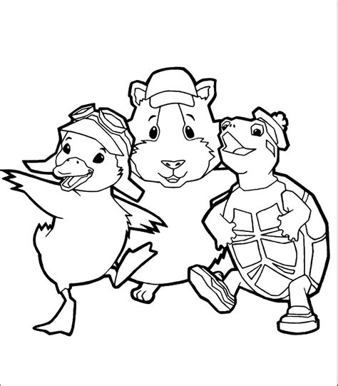 pets coloring pages  preschool coloring pages