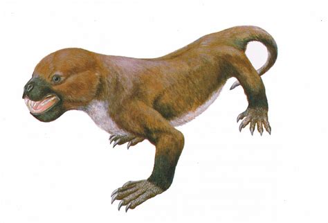 mammal  reptile survived  longer  thought