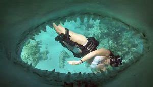 swims   ocean   gopro camera    captures  incredible trendzified