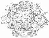 Coloring Flower Pages Printable Realistic Getdrawings sketch template