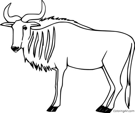 printable wildebeest coloring pages  vector format easy  print   device