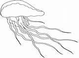 Jellyfish Coloring Pages Spongebob Getdrawings sketch template