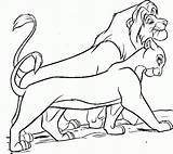 Nala Lion Coloring King Pages Simba Colorare Da Disegni Disney 33bf Walking Re Printable Color Drawings Para Colouring Mufasa Roi sketch template