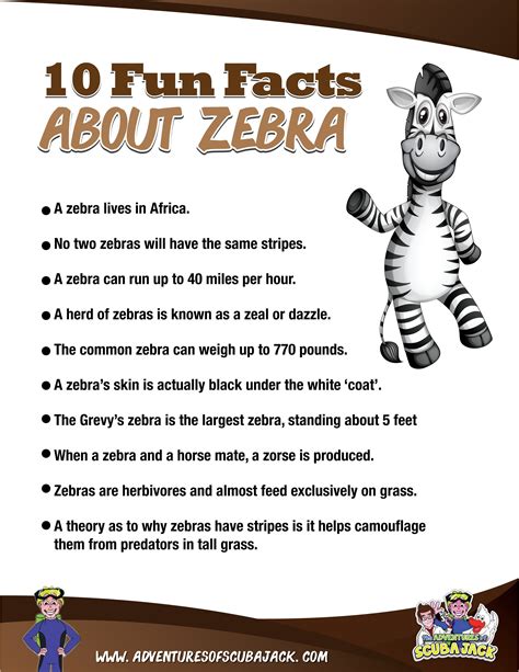 fun zebra fun facts  kids zoo activities preschool