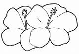 Coloring Flower Hawaiin Wecoloringpage Pages sketch template