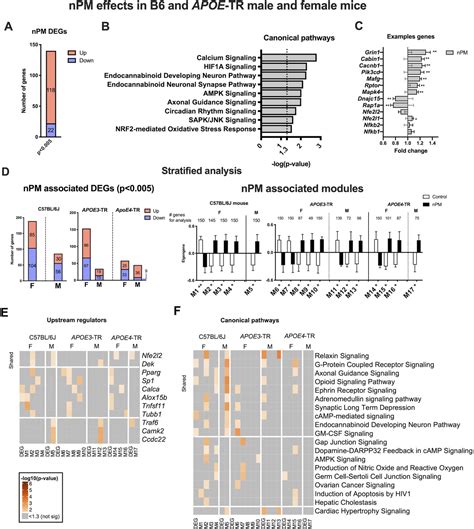 Figures And Data In Mouse Brain Transcriptome Responses To Inhaled