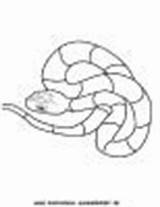Schlange Schlangen Klapperschlange sketch template