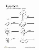 Opposites Exercises Correct sketch template